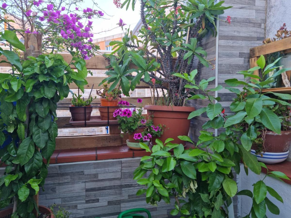 Residenza Lucana Matera Bagian luar foto